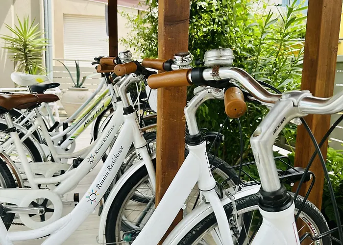 纳欧迪旅馆 4* 里米尼